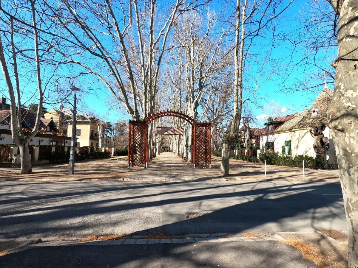Gosztonyi Villa شيوفوك المظهر الخارجي الصورة